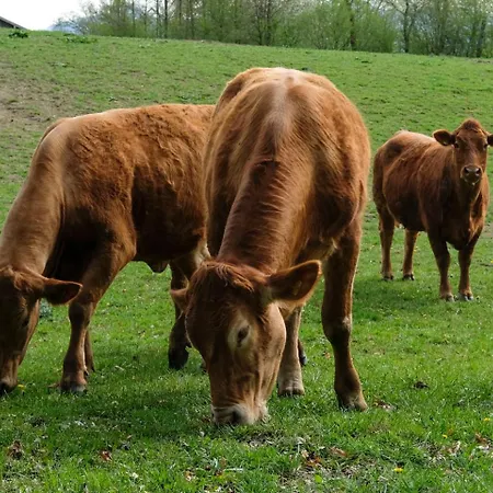 Naturlandhof Mitterer * Seeon-Seebruck