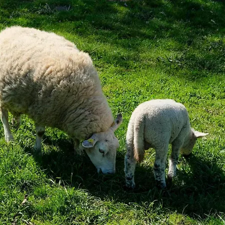 Naturlandhof Mitterer Lejlighed *