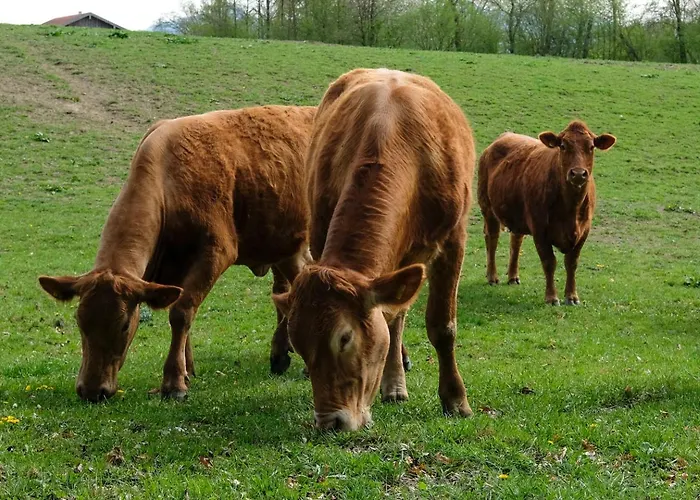 Naturlandhof Mitterer * Seeon-Seebruck